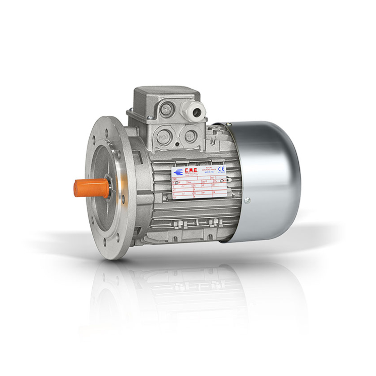motori doppia polarità